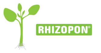 Rhizopon