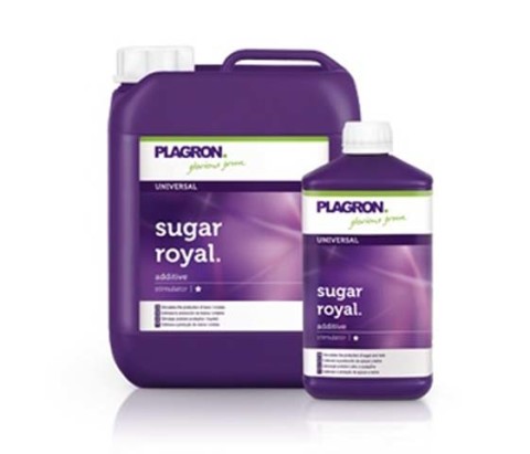 Sugar royal refpla7