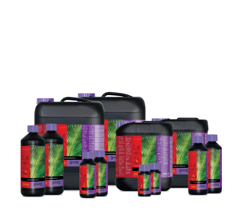 Coco Nutrition A & B 12840132