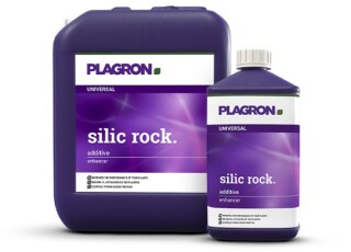 Silic Rock plagsilic 1