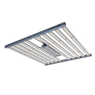 Platinum King LED 1000 watt 10 bar platgliz1000 1