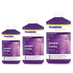 Power roots refpla1 1